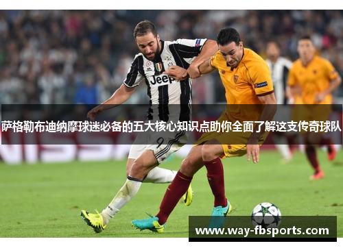 萨格勒布迪纳摩球迷必备的五大核心知识点助你全面了解这支传奇球队