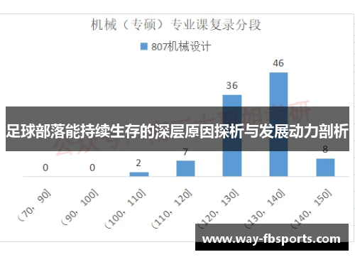 足球部落能持续生存的深层原因探析与发展动力剖析