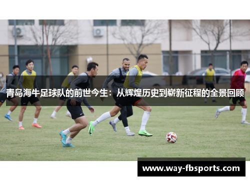 青岛海牛足球队的前世今生：从辉煌历史到崭新征程的全景回顾