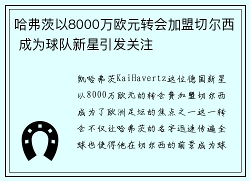 哈弗茨以8000万欧元转会加盟切尔西 成为球队新星引发关注 哈弗茨以8000万欧元转会加盟切尔西 成为球队新星引发关注